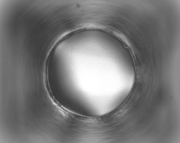 X0000068731048200605051454