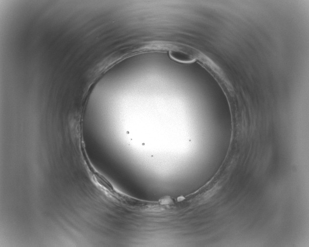 X0000068731049200605051454