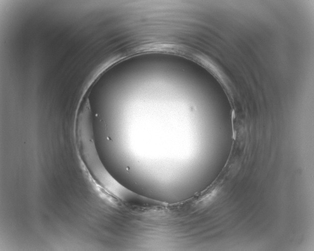 X0000068731050200605051454