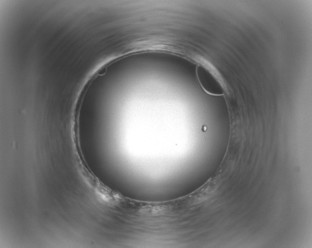 X0000068731051200605051454