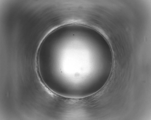 X0000068731056200605051454