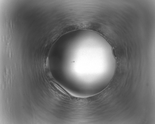 X0000068731058200605051453