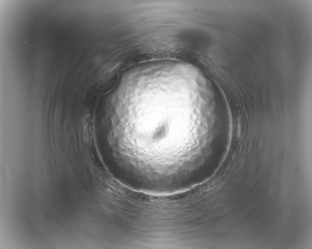 X0000068731059200605051453