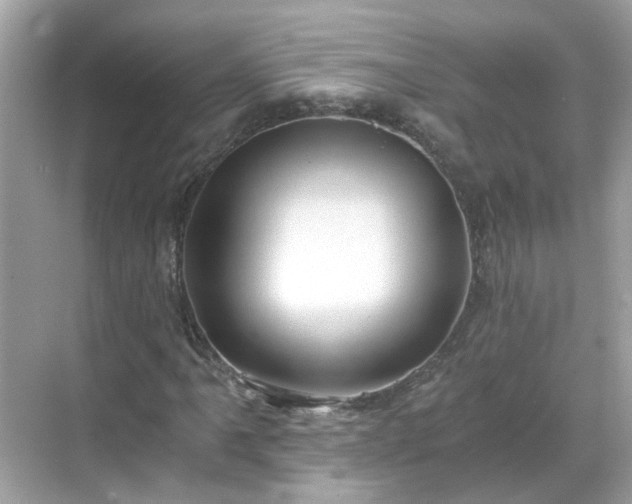 X0000068731061200605051453