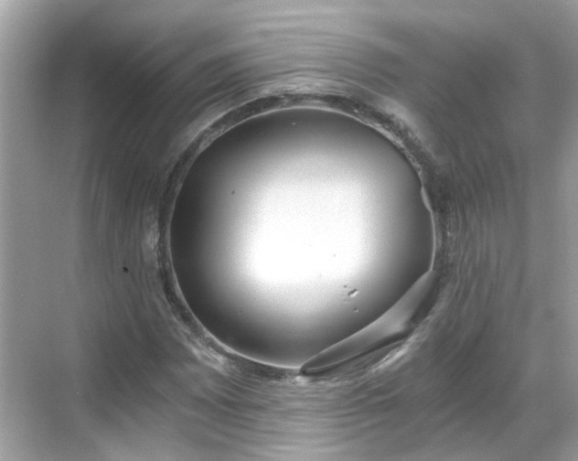 X0000068731065200605051453