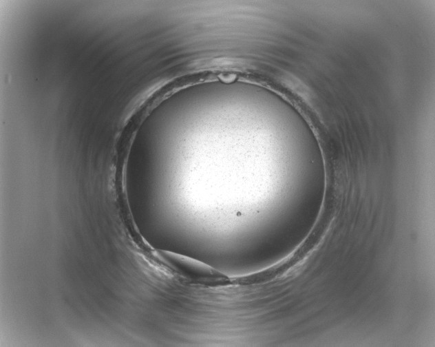 X0000068731066200605051453