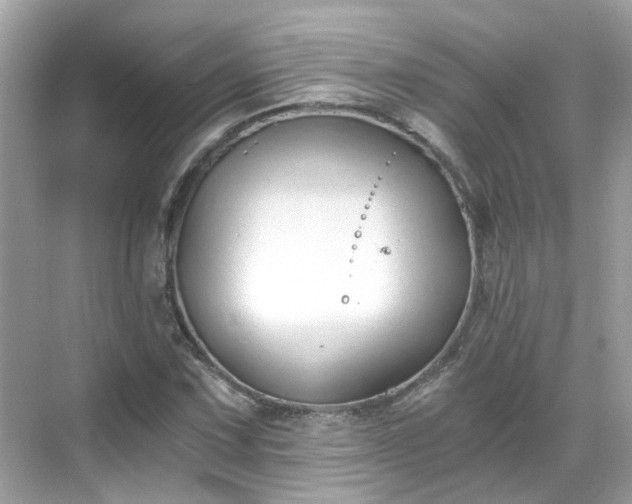 X0000068731067200605051453