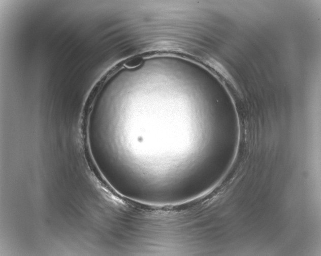 X0000068731068200605051453