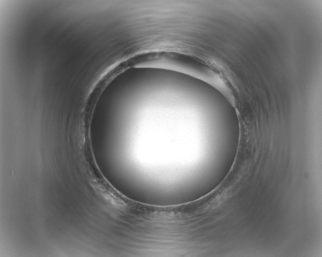 X0000068731069200605051453