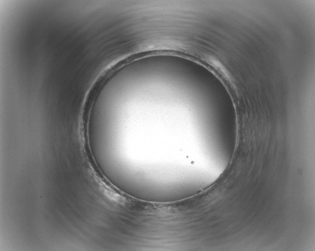 X0000068731072200605051453