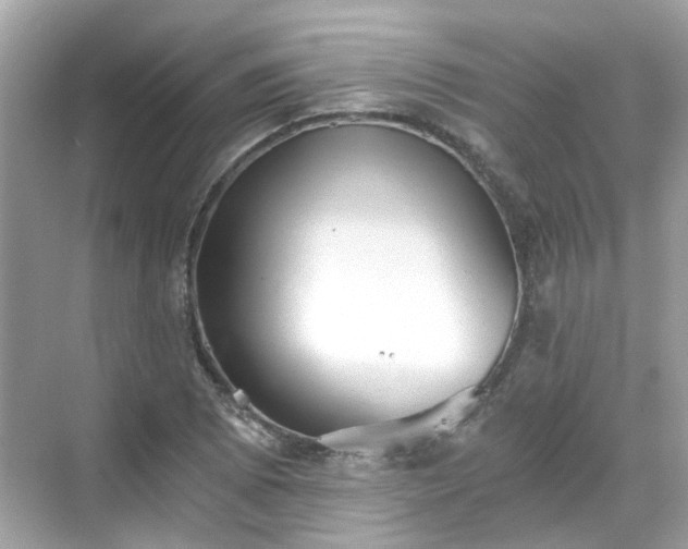 X0000068731073200605051453