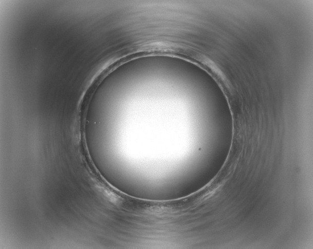 X0000068731075200605051453