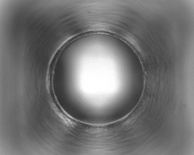 X0000068731076200605051453