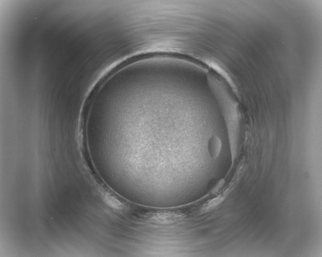 X0000068731077200605051453