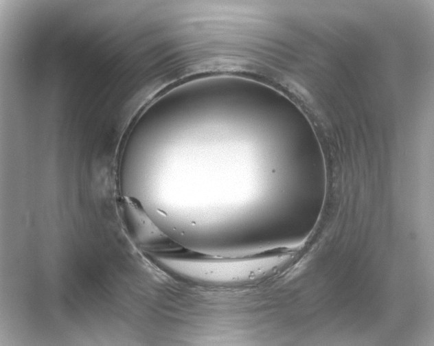 X0000068731081200605051453