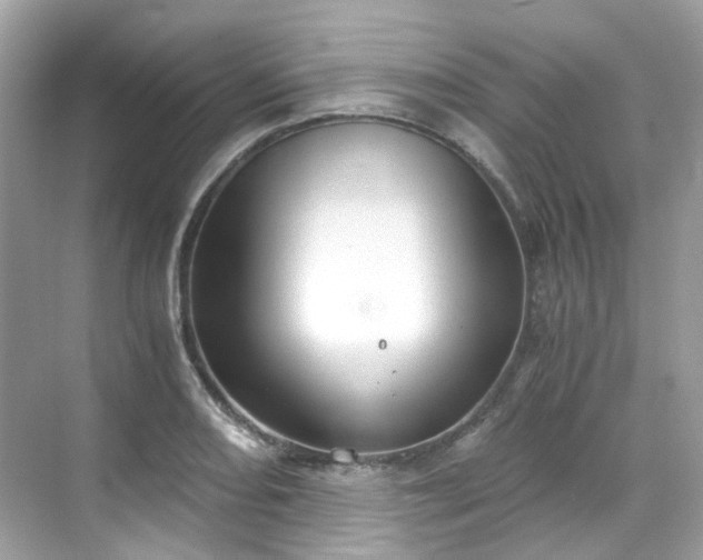 X0000068731082200605051453