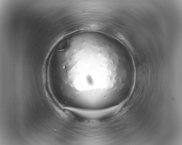 X0000068731083200605051453