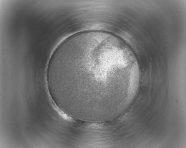 X0000068731086200605051453