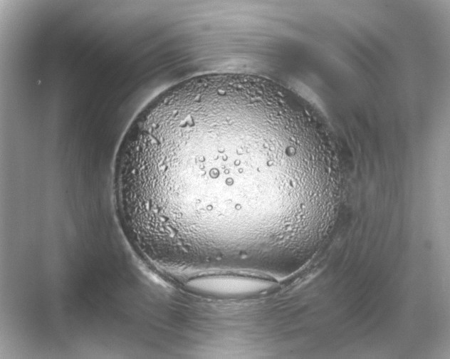 X0000068731087200605051453