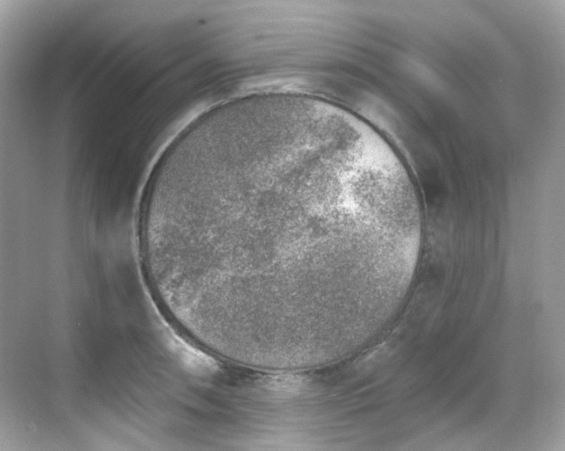 X0000068731090200605051452