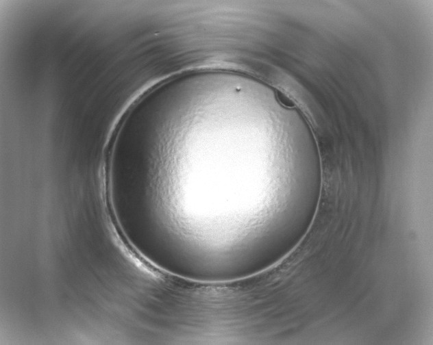 X0000068731092200605051452