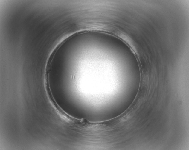 X0000068731093200605051452