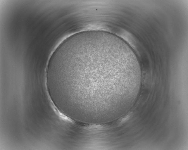 X0000068731094200605051452