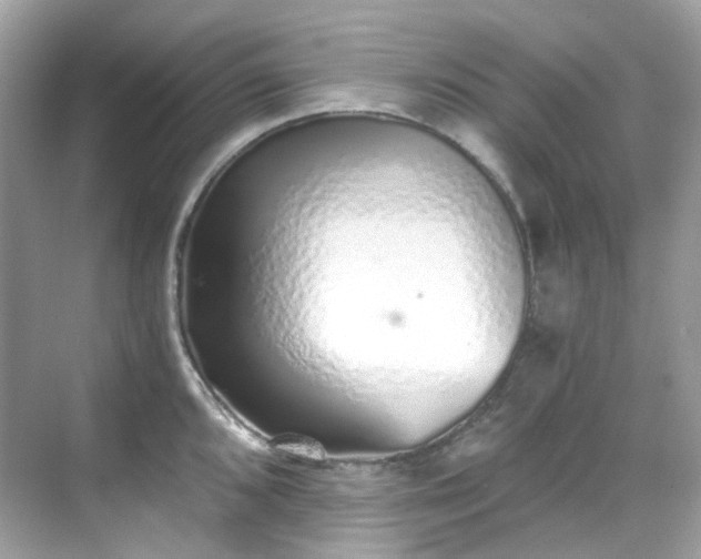 X0000068731096200605051452