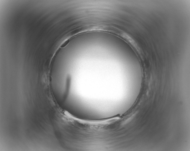 X0000068731097200605051452