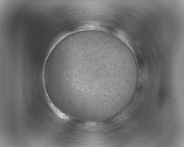 X0000068731098200605051452