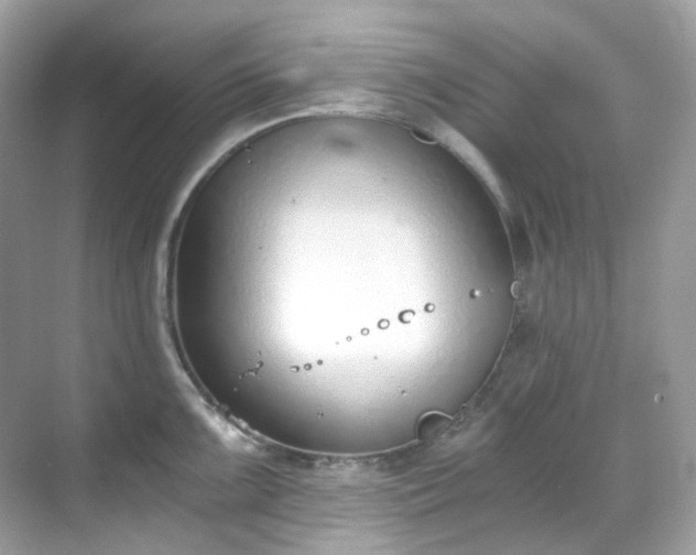 X0000068731099200605051452