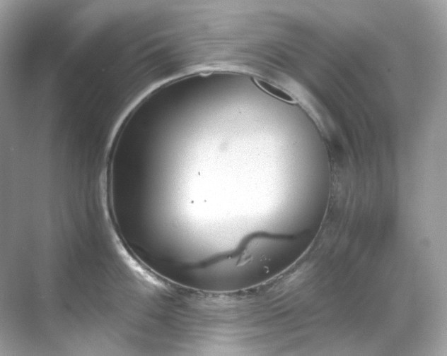 X0000068731100200605051452