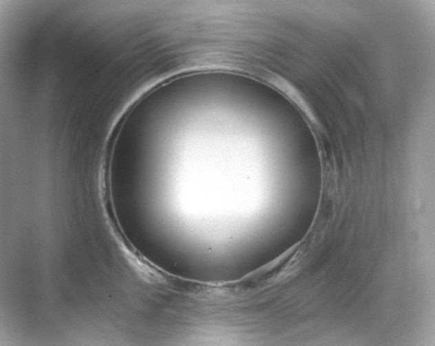 X0000068731101200605051452