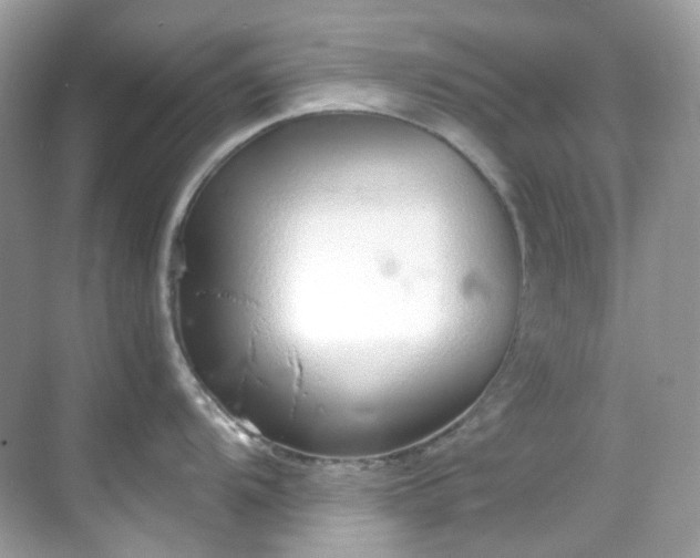 X0000068731104200605051452