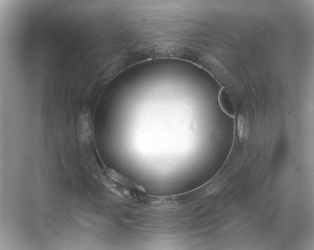 X0000068731107200605051451