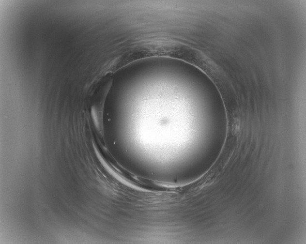 X0000068731108200605051452