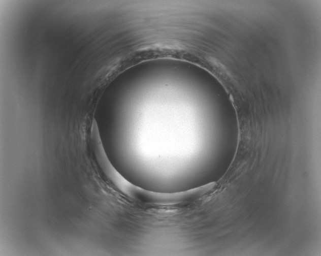 X0000068731110200605051452