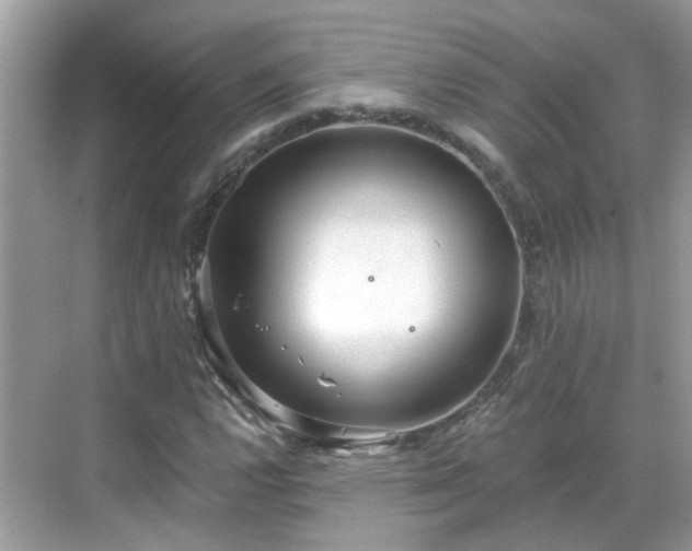 X0000068731112200605051452