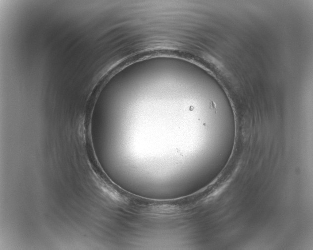 X0000068731113200605051452