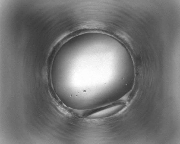 X0000068731114200605051452