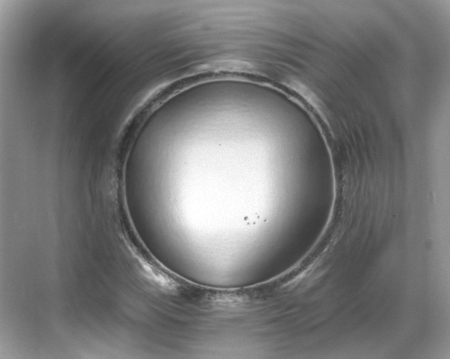 X0000068731115200605051452