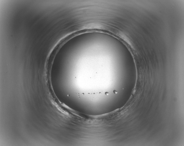 X0000068731116200605051452