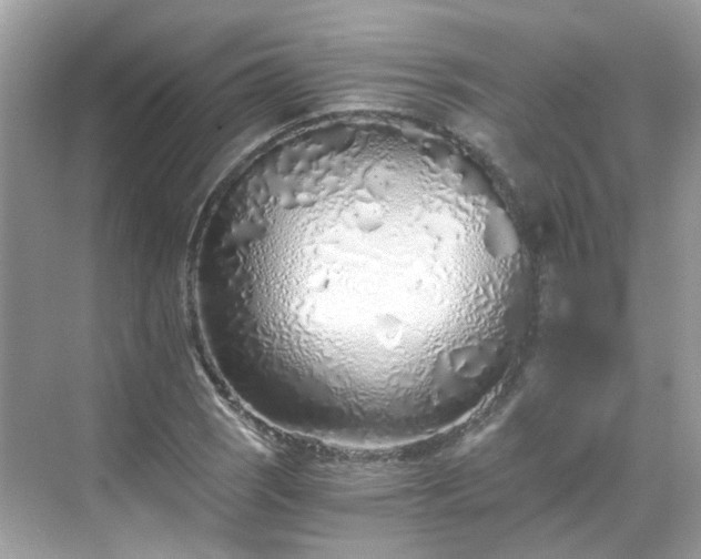 X0000068731121200605051452