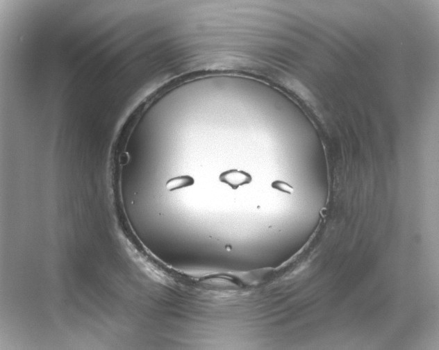 X0000068731122200605051452