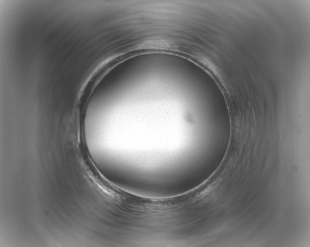 X0000068731123200605051452