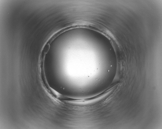 X0000068731124200605051452