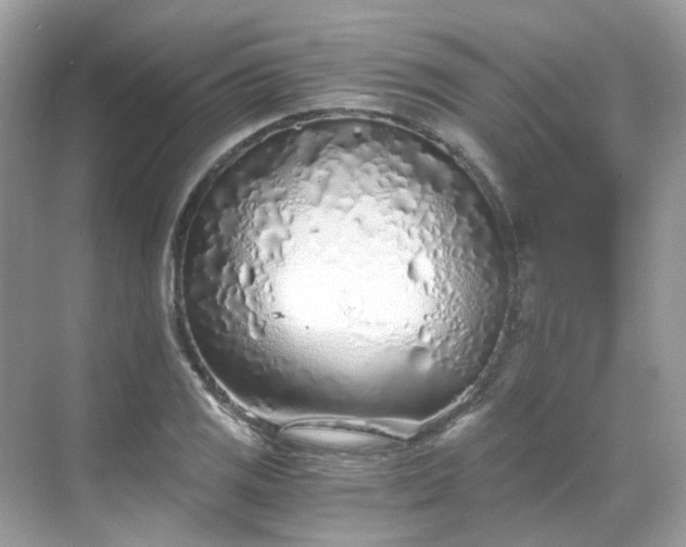 X0000068731125200605051452