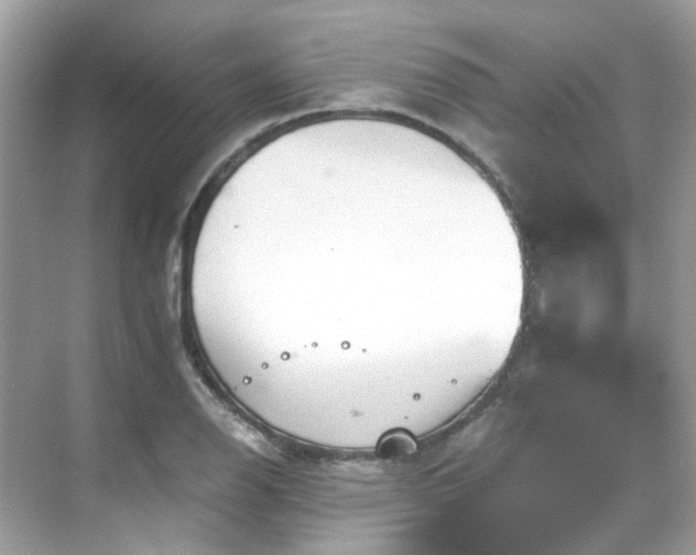 X0000068731126200605051452