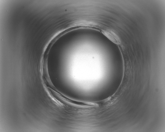 X0000068731128200605051452