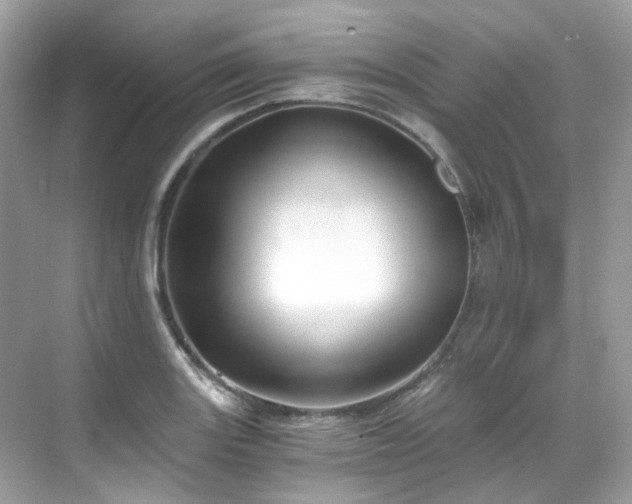 X0000068731131200605051452